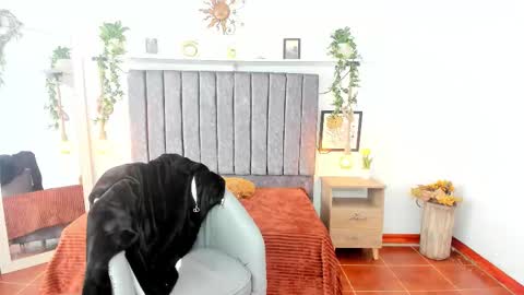 im_tulipan online show from 02.25.26