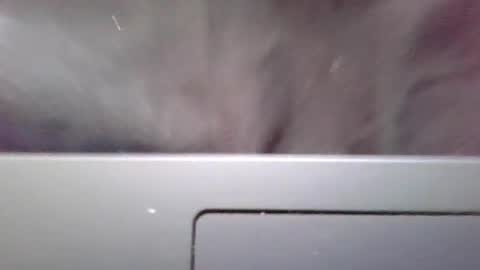 imstillstrokin online show from 10.22.25