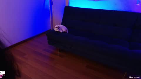 TAYLOR  online show from 10.24.25