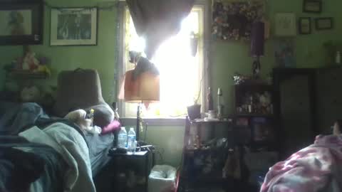 indigo_scorpio online show from 02.05.25