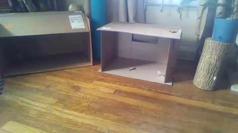 indigo_scorpio online show from 02.07.25