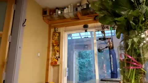 sir. Grummps online show from 02.14.26