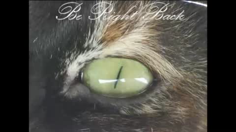 Snapshot of instantkarma2024 chatting on 08.06.26 instantkarma2024 online show from 08.06.26