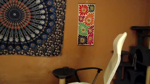 Africa online show from 01.05.25