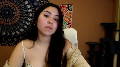 Africa online show from 01.08.25