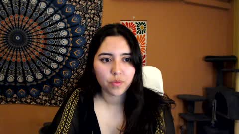 Africa online show from 01.17.25