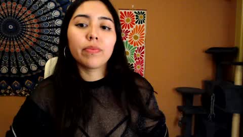 Africa online show from 01.20.25