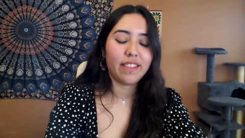 Africa online show from 01.27.25