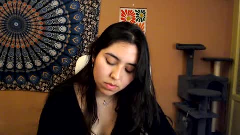 Africa online show from 02.19.25