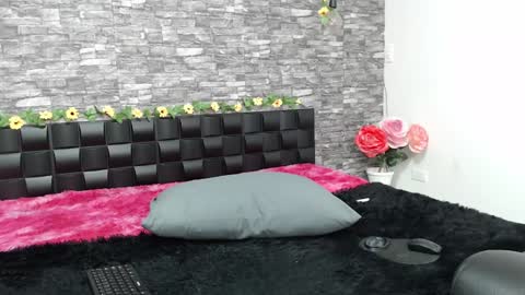 Iirs online show from 01.23.25