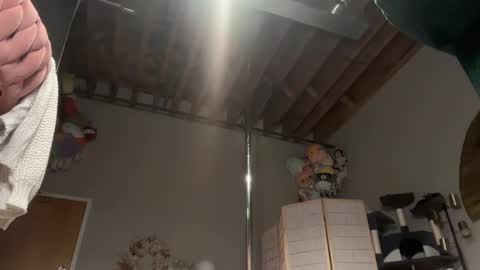 iris online show from 02.20.25