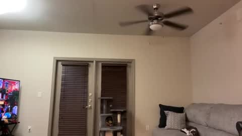 irissweets online show from 03.12.25