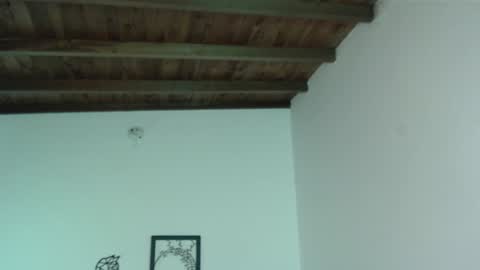 Iris online show from 01.16.25