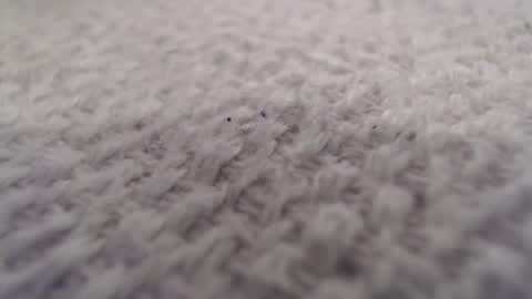 ironman383838 online show from 10.20.25