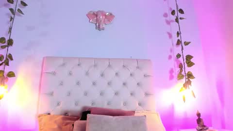   online show from 11.05.25