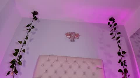   online show from 11.18.25