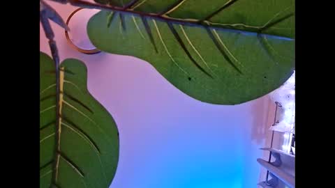 Isabella online show from 10.23.25