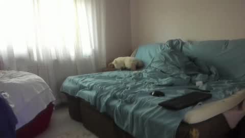 Issabelle online show from 10.20.25