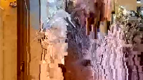 ItsFoxie online show from 01.18.26