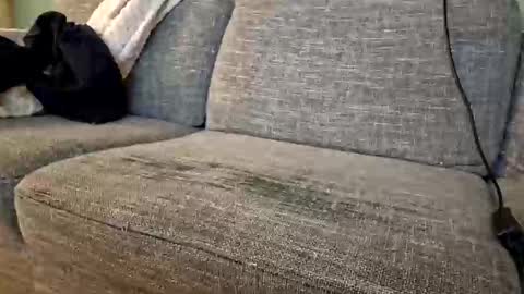 Snapshot of itsjeroen chatting on 11.02.25 itsjeroen online show from 11.02.25