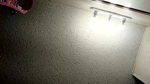 Snapshot of ittybittypritty chatting on 11.09.25 ittybittypritty online show from 11.09.25