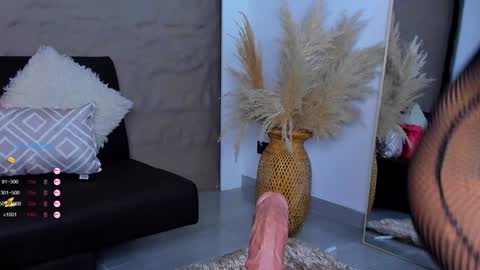 Snapshot of ivy_li chatting on 12.04.24 Daniela online show from 12.04.24