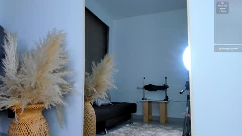 Snapshot of ivy_li chatting on 01.14.25 Daniela online show from 01.14.25