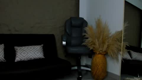 Snapshot of ivy_li chatting on 01.18.25 Daniela online show from 01.18.25