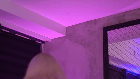 IvyRowa online show from 11.08.25