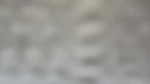 j727551 online show from 02.15.25