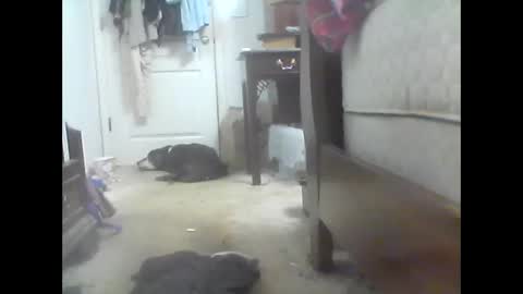 jaburgett1979 online show from 10.10.25