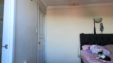 Jack online show from 04.01.26