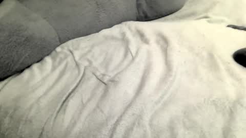 jack online show from 02.23.25