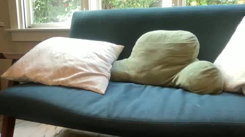 jack online show from 12.14.25