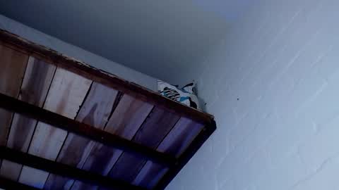 Michael Caicedo online show from 03.12.25