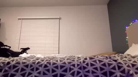 jaidenblake online show from 12.02.24