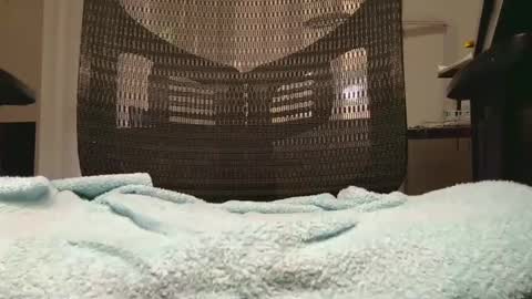 Snapshot of jakdiks chatting on 09.29.25 jakdiks online show from 09.29.25