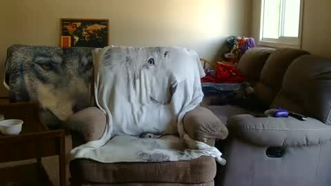 jameswolf777 online show from 09.09.25