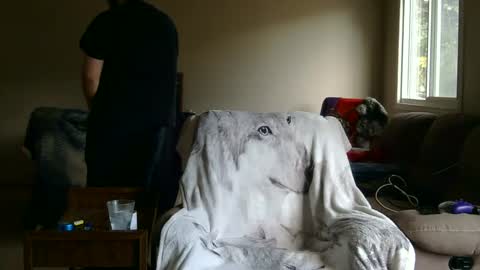 jameswolf777 online show from 09.27.25