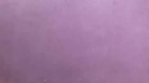 Snapshot of jamila531017 chatting on 11.20.25 jamila531017 online show from 11.20.25