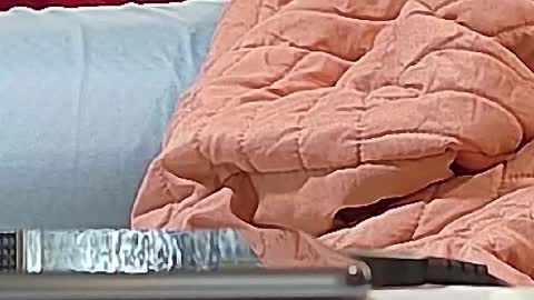 Bootyshows online show from 09.15.25