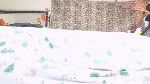 Bootyshows online show from 10.23.25