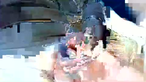 jani56 online show from 04.15.26