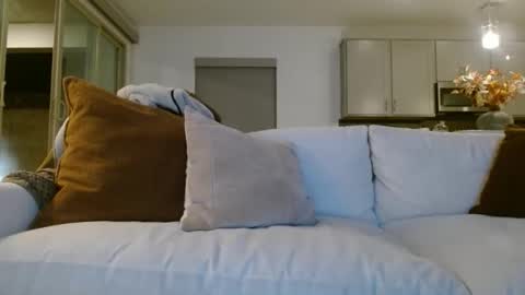 Jason Sweets online show from 01.07.26