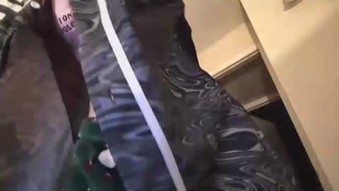 jasper1thewhor3 online show from 10.25.25