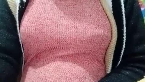 Snapshot of jasspreettt chatting on 01.04.25 jasspreettt online show from 01.04.25