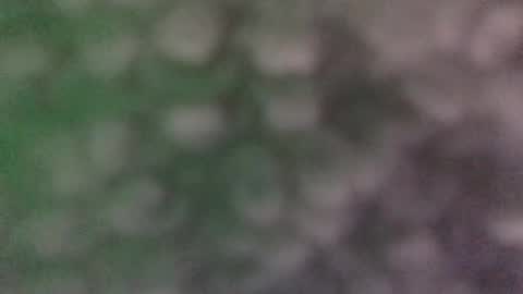 Jaxxx Daniels online show from 12.13.24