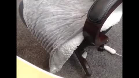 sissy gurl online show from 10.27.25