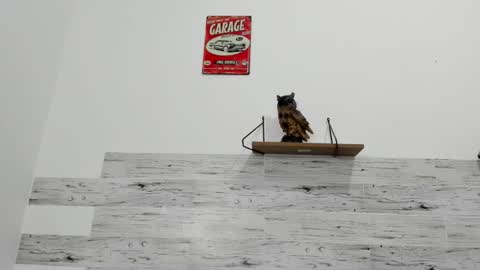 Jaycreedd online show from 10.01.25