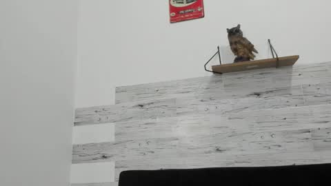 Jaycreedd online show from 10.05.25